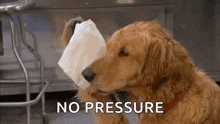 No pressure